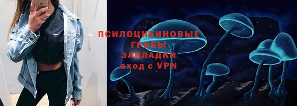 a pvp Алзамай