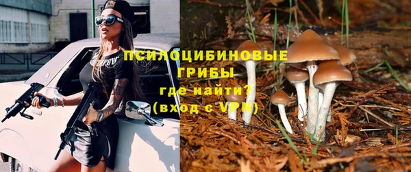 а пвп мука Алексеевка