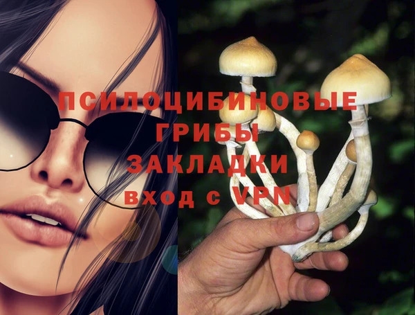 хмурый Алексин