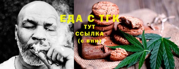 хмурый Алексин