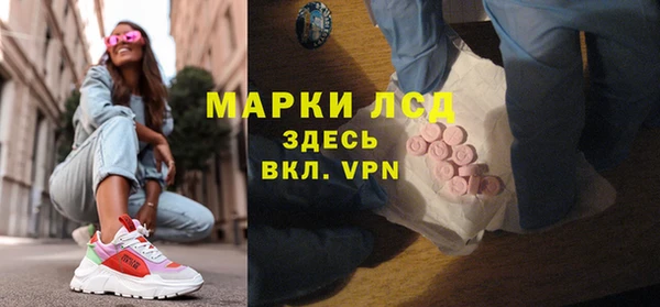 хмурый Алексин