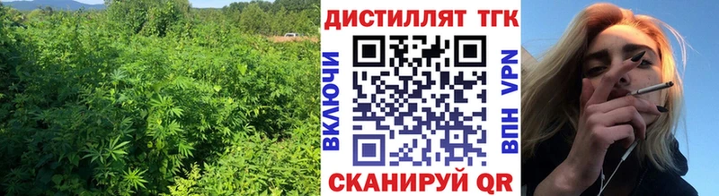 Дистиллят ТГК концентрат  Котельнич 