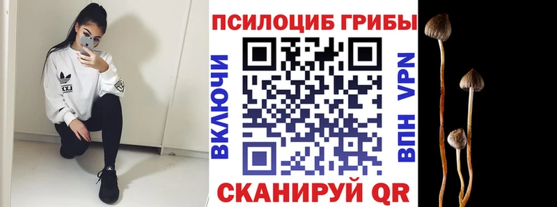 Галлюциногенные грибы прущие грибы  Котельнич 